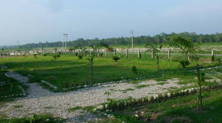 Gorumara Natures Cottage, Lataguri 5